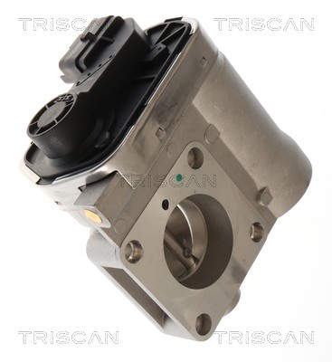 Corps papillon (Corps papillon) Triscan A/S 8820 15003