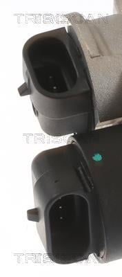 Cuerpo de mariposa Triscan A/S ref. 8820 25006