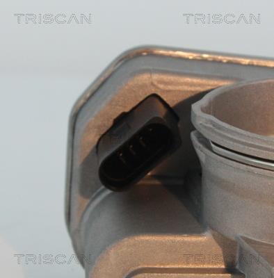 Cuerpo de mariposa Triscan A/S ref. 8820 29029
