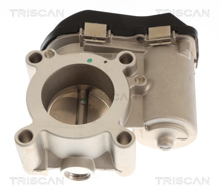 Cuerpo de mariposa Triscan A/S ref. 8820 29035
