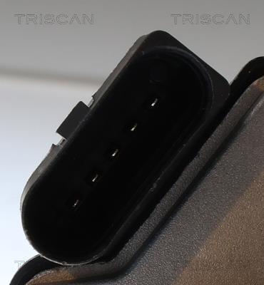 Corps papillon (Corps papillon) Triscan A/S ref. 8820 29040
