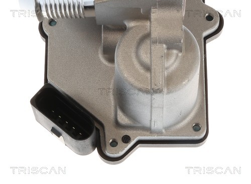 Cuerpo de mariposa Triscan A/S ref. 8820 29041