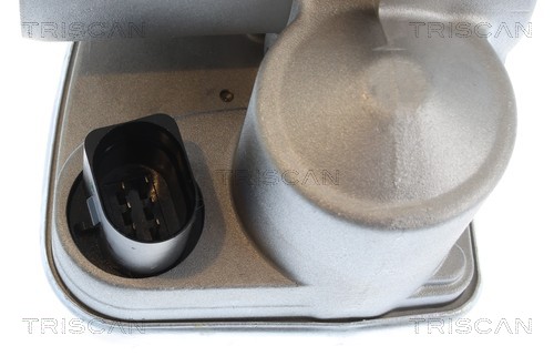 Caixa de borboleta de admissão Triscan A/S ref. 8820 29043