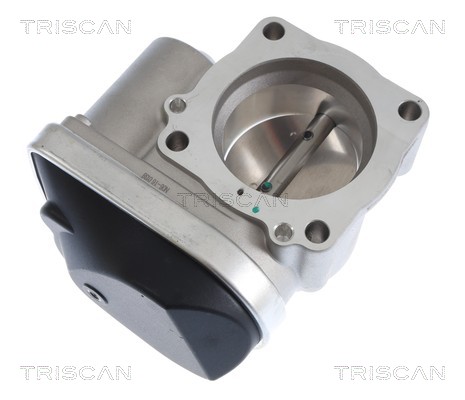 Caixa de borboleta de admissão Triscan A/S ref. 8820 29043