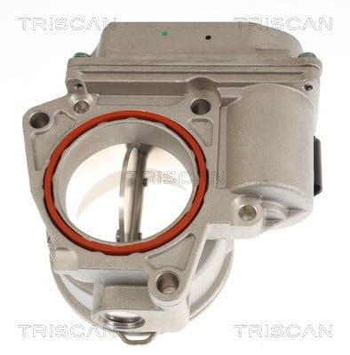 Corps papillon (Corps papillon) Triscan A/S 8820 29045