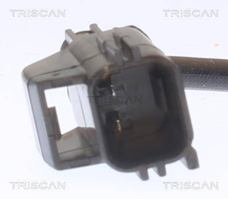 Palpeur, température des gaz Triscan A/S ref. 8826 16009