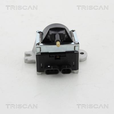 Vela de ignição Triscan A/S 8860 10019