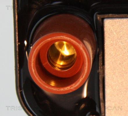 Bobine d'allumage Triscan A/S 8860 23021