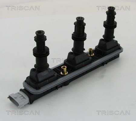 Vela de ignição Triscan A/S ref. 8860 24041