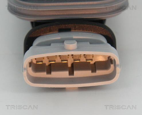 Vela de ignição Triscan A/S ref. 8860 24041