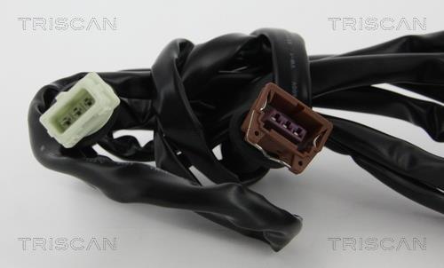 Bobine d'allumage Triscan A/S 8860 29058