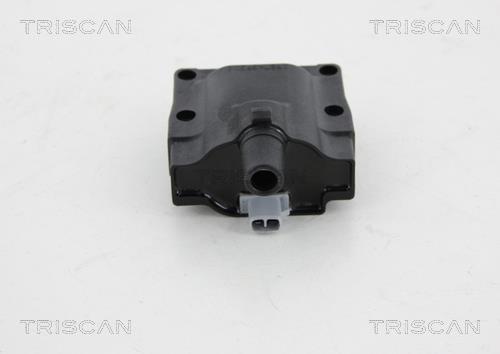 Vela de ignição Triscan A/S 8860 69013