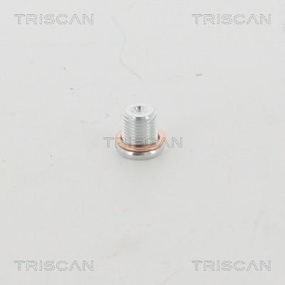 Bouchon de vidange Triscan A/S 95-0959