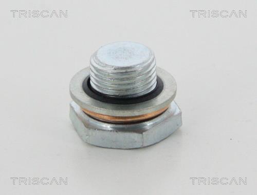 Tapón del cambio de aceite Triscan A/S ref. 95-0963