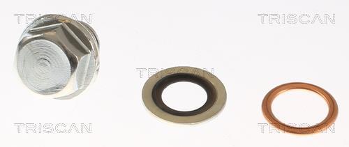 Bouchon de vidange Triscan A/S ref. 9500 1001-20