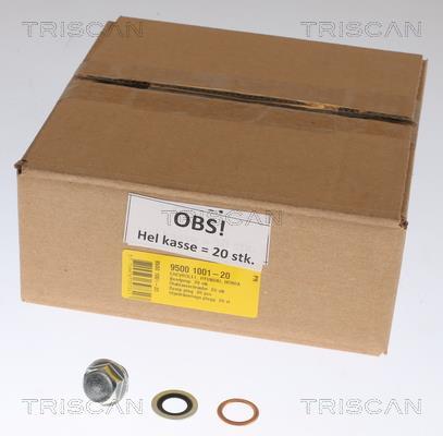 Bouchon de vidange Triscan A/S ref. 9500 1001-20