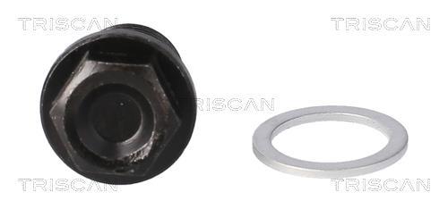 Tapón del cambio de aceite Triscan A/S ref. 9500 1002