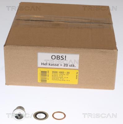 Bouchon de vidange Triscan A/S ref. 9500 1003-20