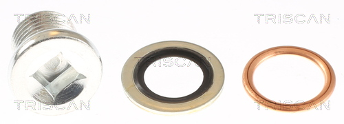 Bouchon de vidange Triscan A/S ref. 9500 1003