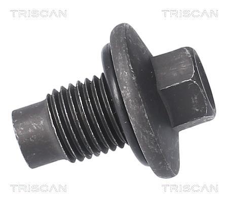 Tapón del cambio de aceite Triscan A/S ref. 9500 1009