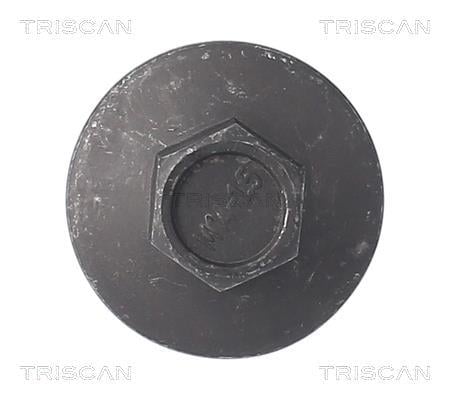 Tapón del cambio de aceite Triscan A/S ref. 9500 1009