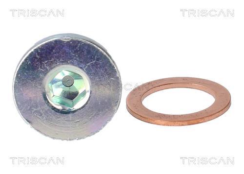 Tapón del cambio de aceite Triscan A/S ref. 9500 1014