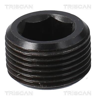 Bouchon de vidange Triscan A/S ref. 9500 1015