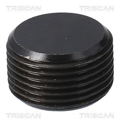Bouchon de vidange Triscan A/S ref. 9500 1015