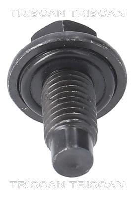 Tapón del cambio de aceite Triscan A/S ref. 9500 1016