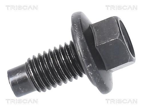 Tapón del cambio de aceite Triscan A/S ref. 9500 1016