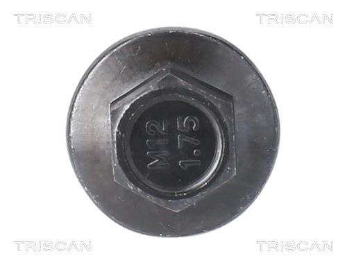 Tapón del cambio de aceite Triscan A/S ref. 9500 1016