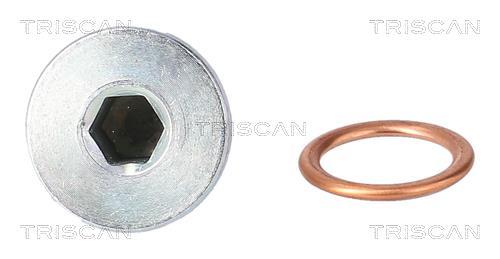 Tapón del cambio de aceite Triscan A/S ref. 9500 1019