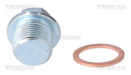 Bouchon de vidange Triscan A/S ref. 9500 1022
