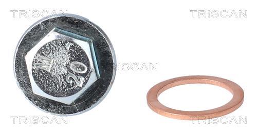 Bouchon de vidange Triscan A/S ref. 9500 1022