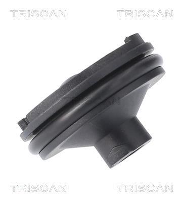 Bouchon de vidange Triscan A/S ref. 9500 1023