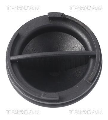Bouchon de vidange Triscan A/S ref. 9500 1023