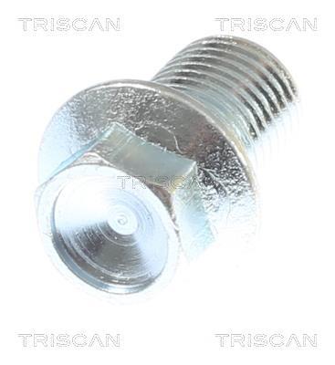 Tapón del cambio de aceite Triscan A/S ref. 9500 1024