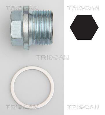 Bouchon de vidange Triscan A/S ref. 9500 1102
