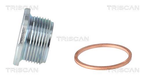Tapón del cambio de aceite Triscan A/S ref. 9500 2301
