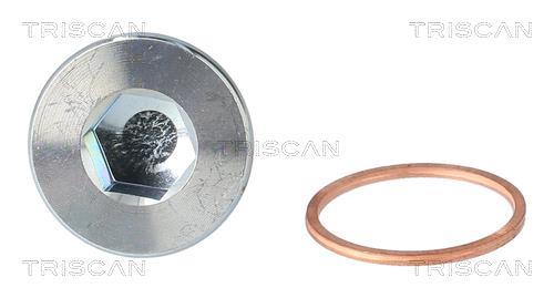 Tapón del cambio de aceite Triscan A/S ref. 9500 2301
