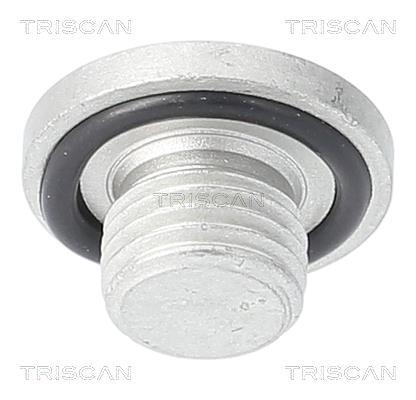 Bouchon de vidange Triscan A/S ref. 9500 2401