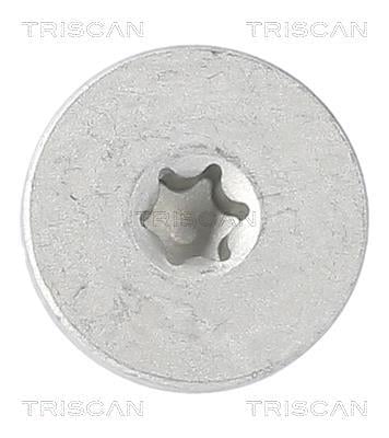 Bouchon de vidange Triscan A/S ref. 9500 2401