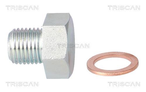 Tapón del cambio de aceite Triscan A/S ref. 9500 2404