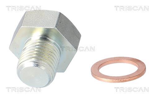 Tapón del cambio de aceite Triscan A/S ref. 9500 2404