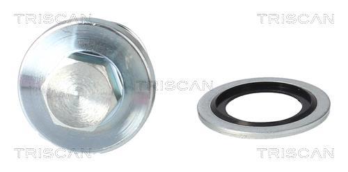 Bouchon de vidange Triscan A/S ref. 9500 2406