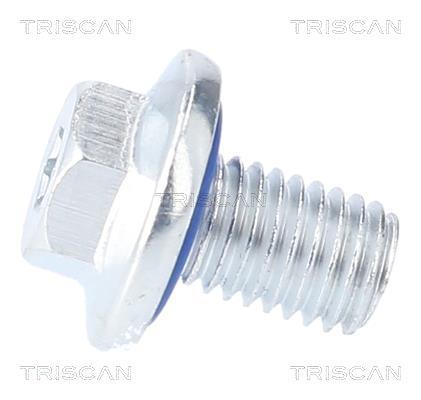 Bouchon de vidange Triscan A/S 9500 2407
