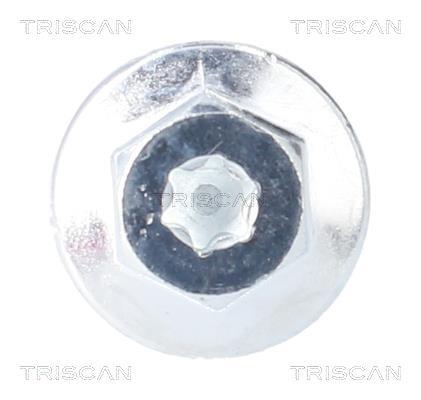 Bouchon de vidange Triscan A/S 9500 2407