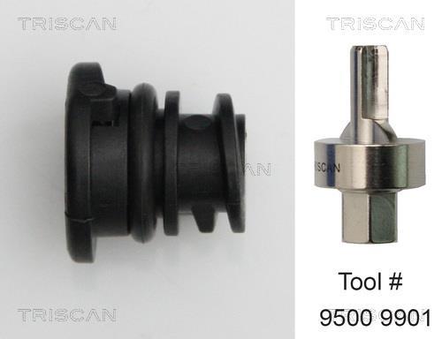 Bouchon de vidange Triscan A/S ref. 9500 2901