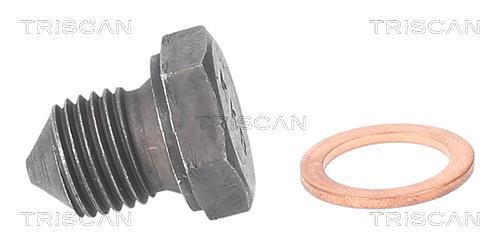 Tapón del cambio de aceite Triscan A/S ref. 9500 2902