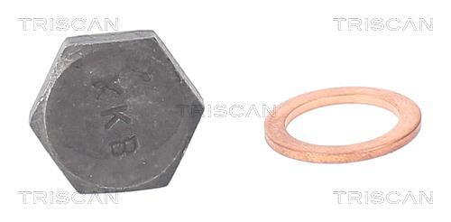 Tapón del cambio de aceite Triscan A/S ref. 9500 2902